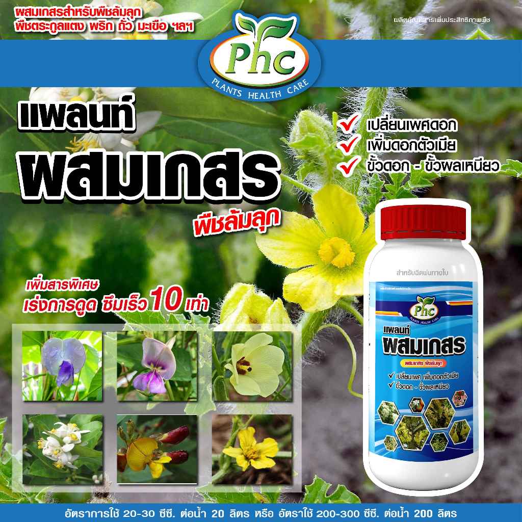 ผสมเกสร ติดผลดก ขั้วเหนียว แพลนท์ ผสมเกสรดอก ผสมเทียม แปลงเพศดอก เพิ่มดอกตัวเมีย (พืชล้มลุก) ขนาด 500 ซีซี และ 1 ลิตร