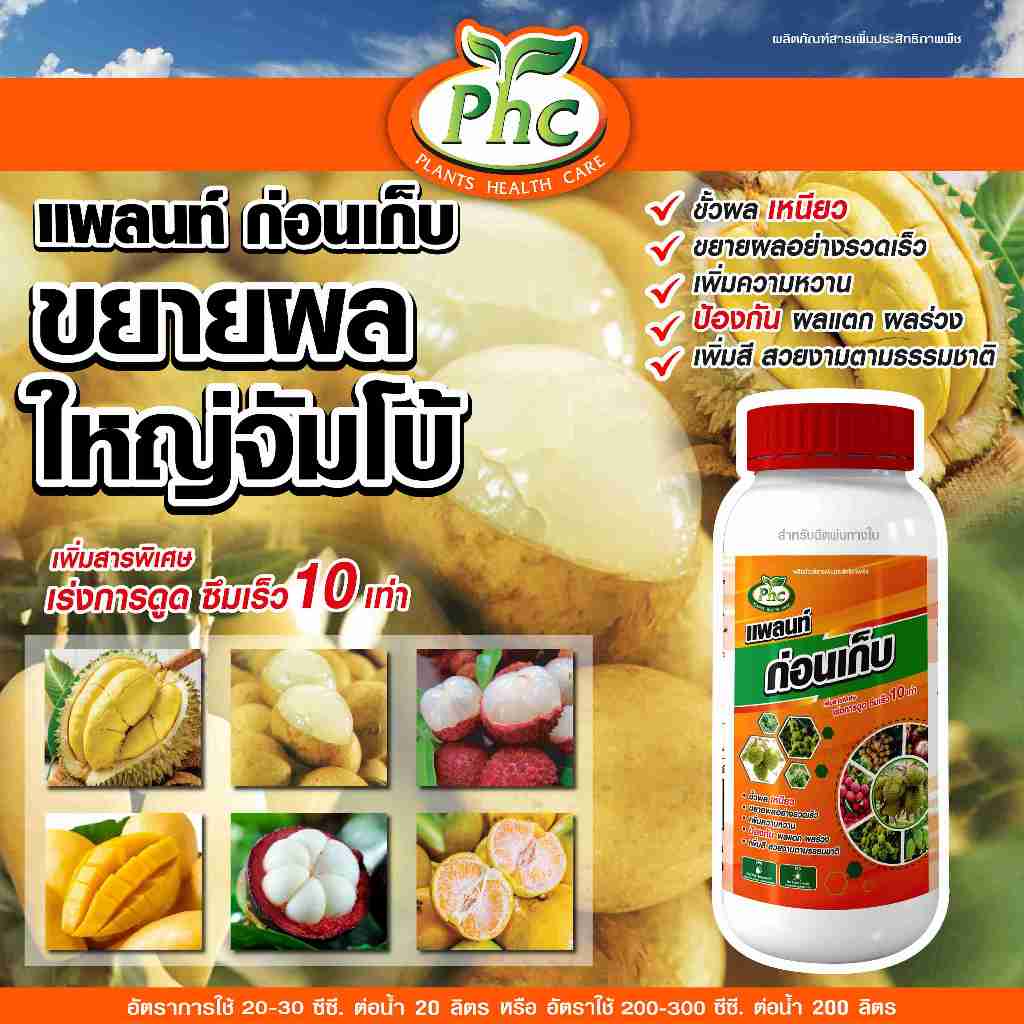 ขยายผลใหญ่จัมโบ้ ก่อนเก็บผลผลิต แพลนท์ ขยายลูกใหญ่ เพิ่มหวาน เพิ่มรสชาติ เร่งสี เร่งน้ำหนัก ขนาด 500 ซีซี และ 1 ลิตร