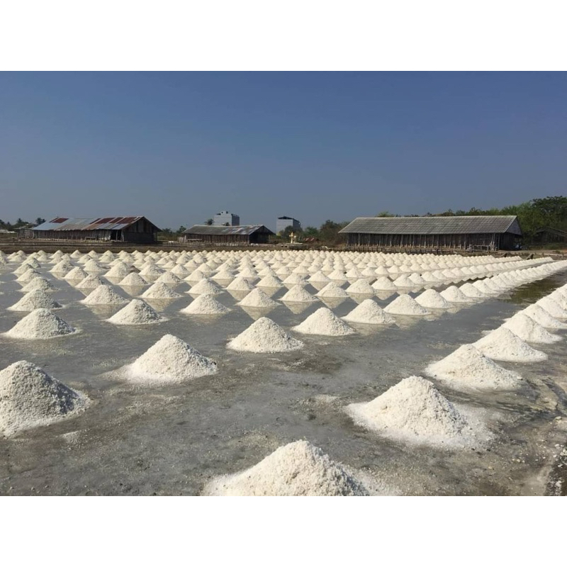 ดอกเกลือแท้ เพื่อสุขภาพ - รูปที่ 3