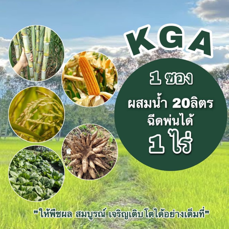 ผงดำKGAสารเสริมประสิทธิภาพ