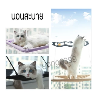 เปลแมวติดกระจก รับน้ำหนักได้ถึง 20kg เปลสัตว์เลี้ยงสีพาสเทล ที่นอนแมว บ้านแมว