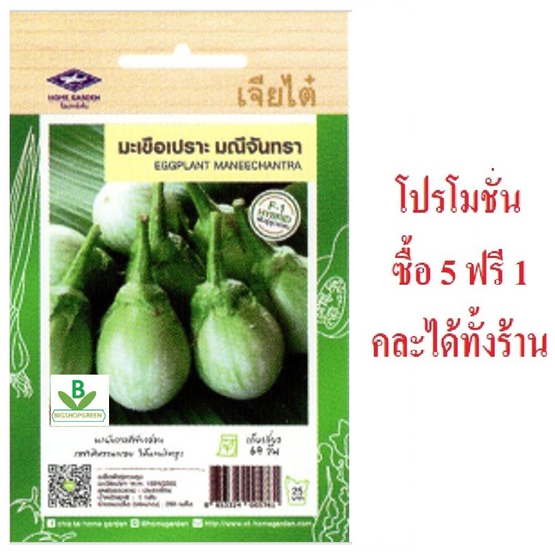 5 แถม 1 คละได้ทั้งร้าน เมล็ดพันธุ์ มะเขือเปราะ มณีจันทรา เจียไต๋ เมล็ดพันธุ์คัดพิิเศษ F1 ความงอกสูง ปลูกง่าย โตไว
