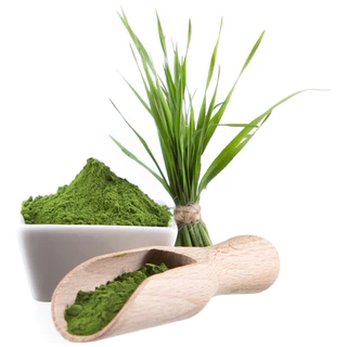 ต้นอ่อนข้าวสาลี ขนาด 100 กรัม ออร์แกนิค ( Wheat Grass Powder )