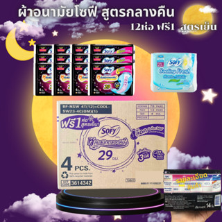 (ยกลัง) Sofy โซฟี กลางคืน รุ่นแถม ยาว 29เซน รุ่น 4 ชิ้น ยกลั…