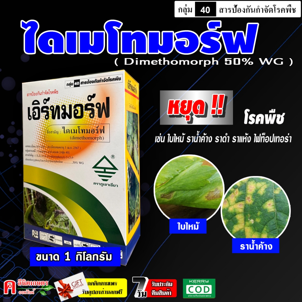 เอิร์ทมอร์ฟ-ไดเมโทมอร์ฟ 50% ( 1 กิโลกรัม ) ป้องกันเชื้อรา ราน้ำค้าง ใบไหม้ ไฟท็อปเทอร่า สารกำจัดโรคพืชต่าง ๆ ฟอรัม