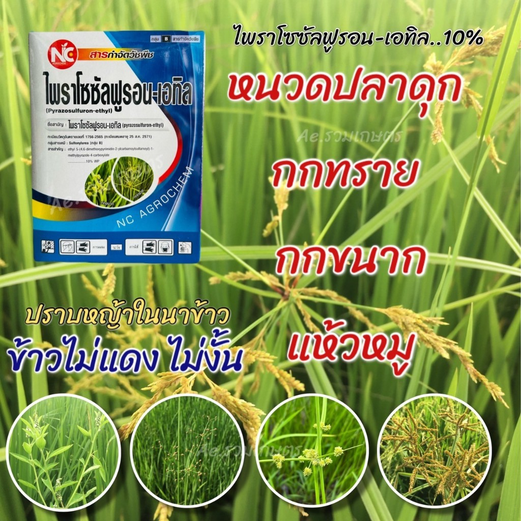 ยาฆ่าหญ้าในนาข้าว ไพราโซซัลฟูรอน-เอทิล (กล่องใหญ่ 100 กรัม)  สารกำจัดวัชพืช ใบกว้าง กก แห้วหมู ตราNC