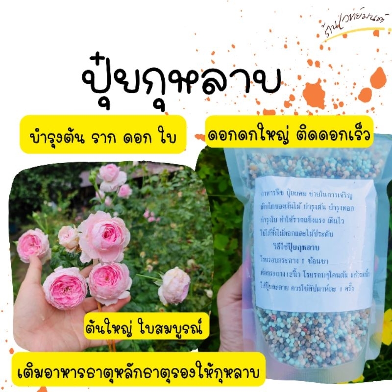 ปุ๋ยกุหลาบ ปุ๋ยเม็ดสูตรพิเศษ (500g.) บำรุงต้น ราก ดอกดก ดอกใหญ่ เร่งการเจริญเติบโต แตกกระโดงเก่ง เหมาะกับพืชทุกชนิด