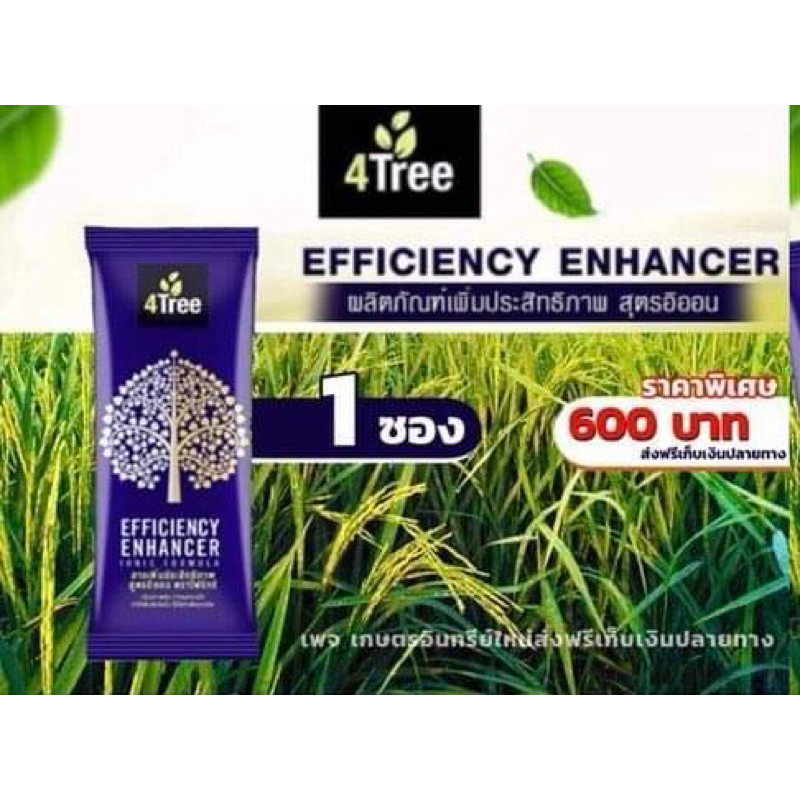 ปุ๋ย 4tree (1ซอง) ของแท้จากบริษัท 💯