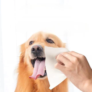 [พร้อมส่ง]ทิชชู่เปียก Pet wipes 80 แผ่น ผ้าเช็ดตาและหูสัตว์เลี้ยง สำหรับเช็ดสัต ว์เลี้ยง ทิชชู่เปียก ทิชชู่หมา