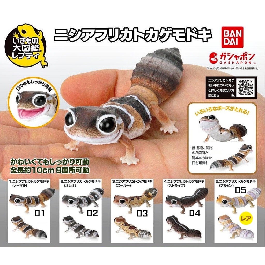 (มีของพร้อมส่ง)กาชาปองตุ๊กแกหางอ้วนมินิ Gashapon Bandai Ikimono Encyclopedia Advance African Fat-Tailed Gecko Mini