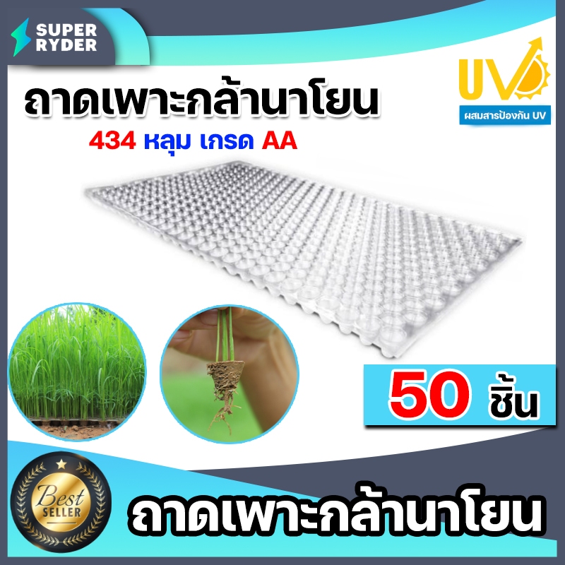 ถาดเพาะกล้านาโยน 434 หลุม  จำนวน 50 ชิ้น กล้านาโยน เพาะปลูกกล้า นาโยน เพาะกล้า