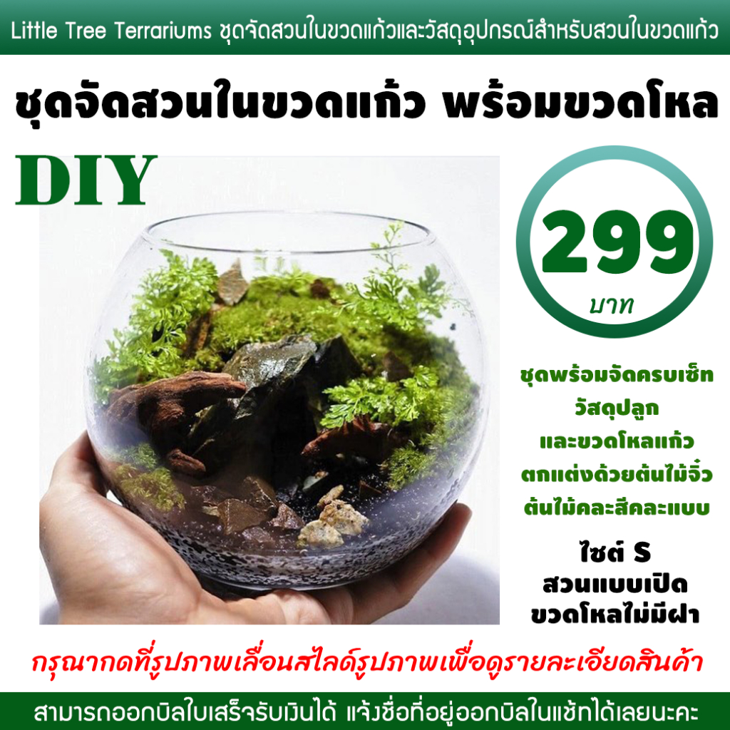 ชุดจัดสวนขวด DIY สวนแบบเปิด ขนาดเล็ก 299 บาท