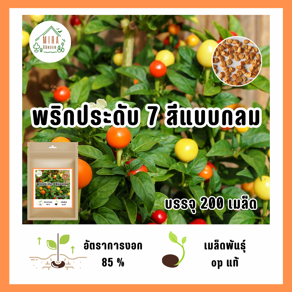 เมล็ดพันธุ์ พริกประดับ 7 สี แบบกลม บรรจุ 200 เมล็ด
