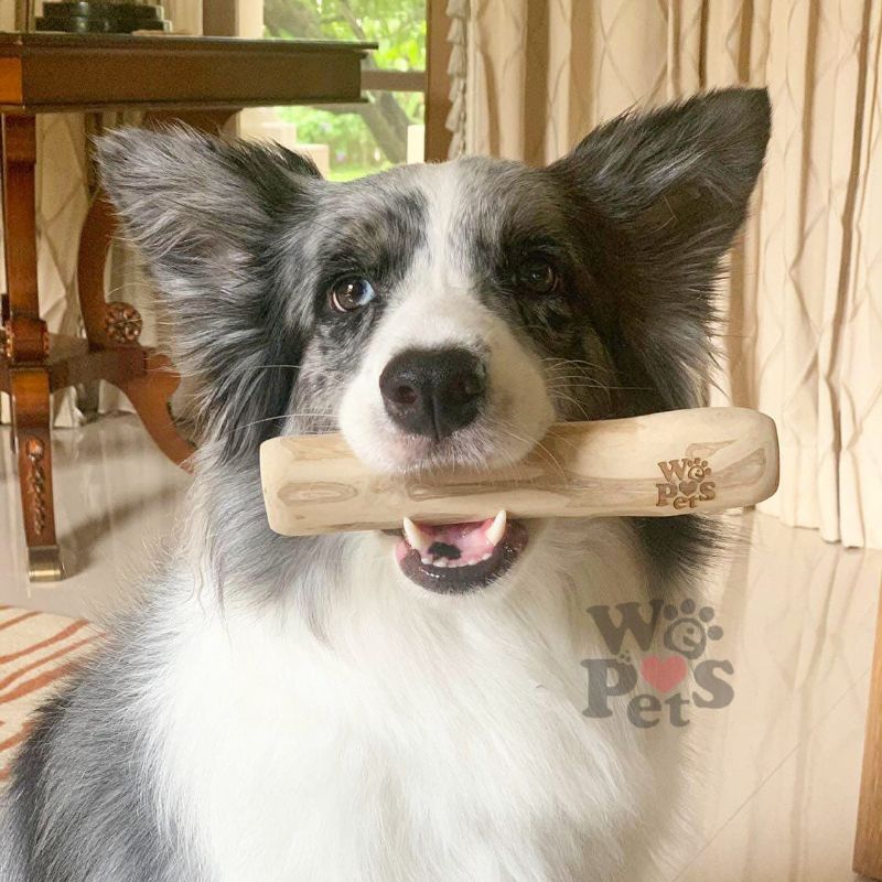 ไม้ต้นกาแฟ Coffee Wood Chew WE HEART PETS ไซส์ กลาง Medium Size