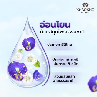 Khaokho Talaypu เขาค้อทะเลภู แชมพูแบบถุงรีฟิล สูตรอัญชันและเฮนน่า ช่วยลดผมหงอก (400 มล.)