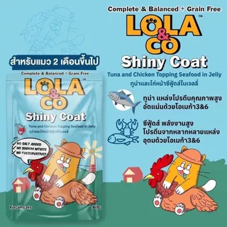 อาหารเปียกแมว Lola&CO โลล่าแอนด์โค อาหารเปียกแมว สุขภาพดี ขนาด 80 กรัม 1ลัง (4โหล)