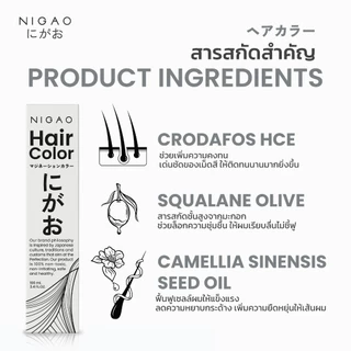 [ฟรี Developer] NIGAO Hair Color Silver Grey 6.11 | นิกาโอะ ครีมเปลี่ยนสีผม สีย้อมผม สีเทา ควันบุหรี่ 100 mL