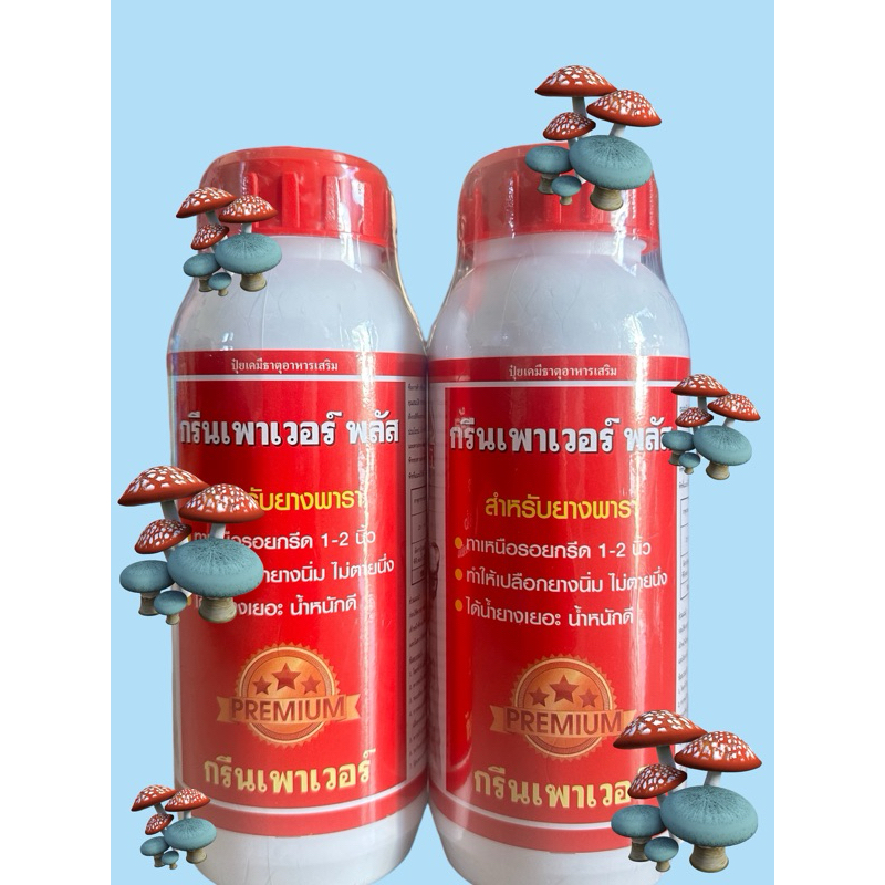 ปุ๋ยน้ำกรีนเพาเวอร์พลัสชุด2ขวด