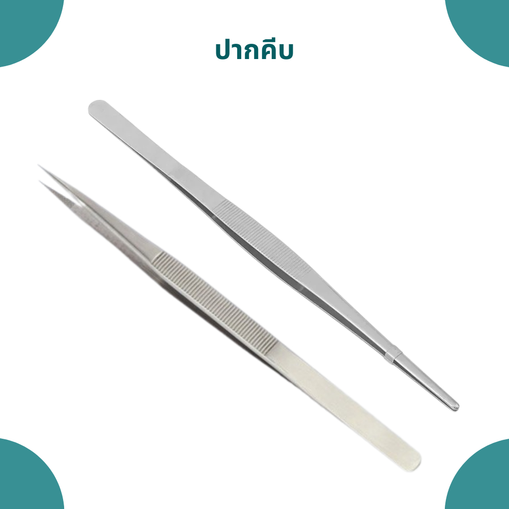 ปากคีบ ปากคีบสแตนเลส แหนบ แหนบคีบ ยาว 17 cm DIAMOND TWEEZERS มีให้เลือก 2 แบบ ปากแหลมกับปากทู่