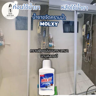 MOLXYน้ำยาขจัดคราบน้ำบนกระจก สูตรเข้มข้น 1 ขวด ขจัดคราบน้ำ คราบสบู่ น้ำยาMOLXY