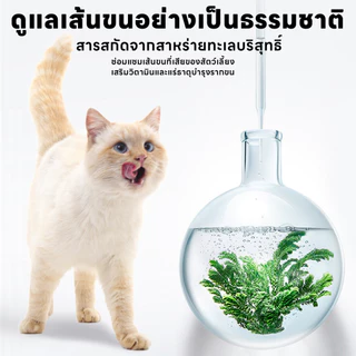 yoyopet : Pet Wipes ทิชชู่เปียกสำหรับสัตว์เลี้ยง ผ้าเปียก Seaweed กลิ่นหอมละมุน สูตรแอนตี้แบคทีเรีย