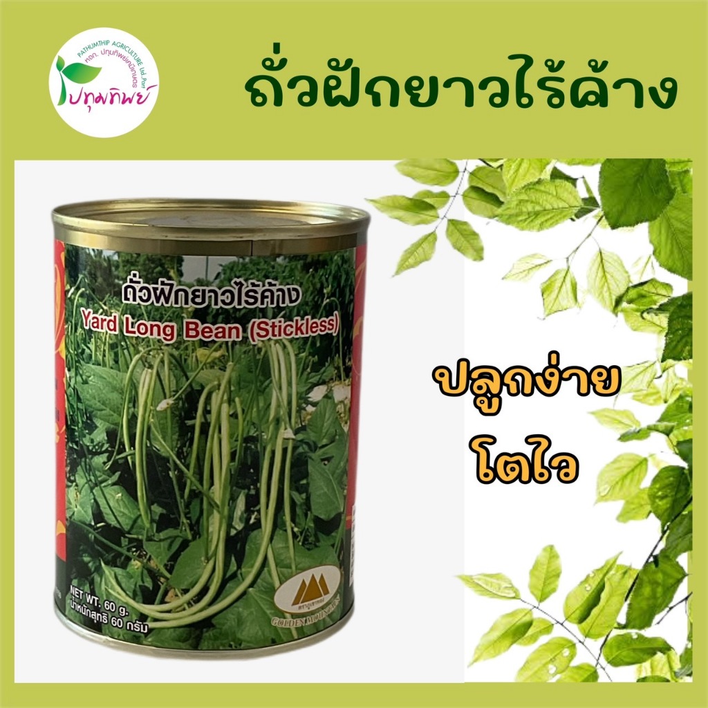 เมล็ดพันธุ์ ตราภูเขาทอง ถั่วฝักยาวไร้ค้าง ขนาด 60 กรัม