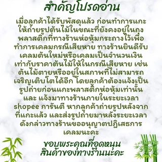 ต้นช้อนเงินช้อนทอง กระถาง 6นิ้ว