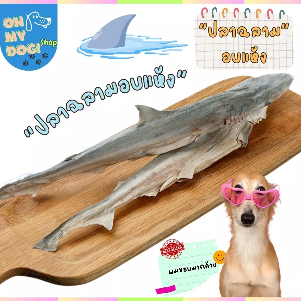 ขนมสุนัข ขนมแมว ปลาฉลามขัดฟันมาเลยเต็มตัว ปลาแท้ ฉลามอบแห้ง ขนมขัดฟันสัตว์เลี้ยง
