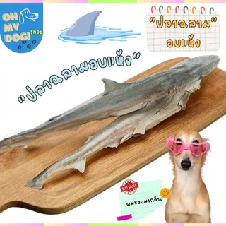 ขนมสุนัข ขนมแมว ปลาฉลามขัดฟันมาเลยเต็มตัว ปลาแท้ ฉลามอบแห้ง ขนมขัดฟันสัตว์เลี้ยง