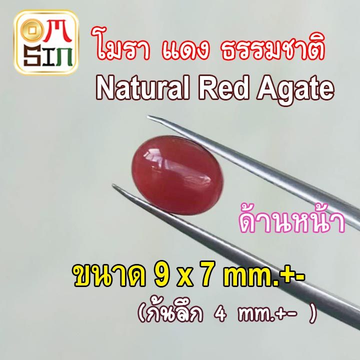 💎❤️A317 9 x 7 mm.+- 1 เม็ด โมรา สีแดง ไข่ หลังเบี้ย พลอย อาเกต โมรา ก้นแบน Agate Natural Chalcedony 