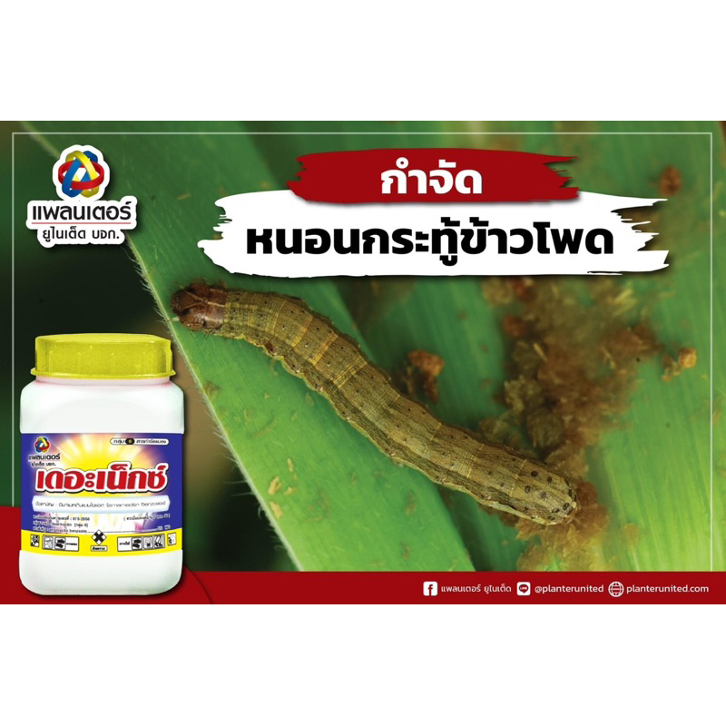 เดอะเน็กซ์ กำจัดหนอนทุกชนิด ใช้ได้ในทุกพืชผัก ข้าวโพด ไม้ดอก ไม้ประดับ - รูปที่ 3