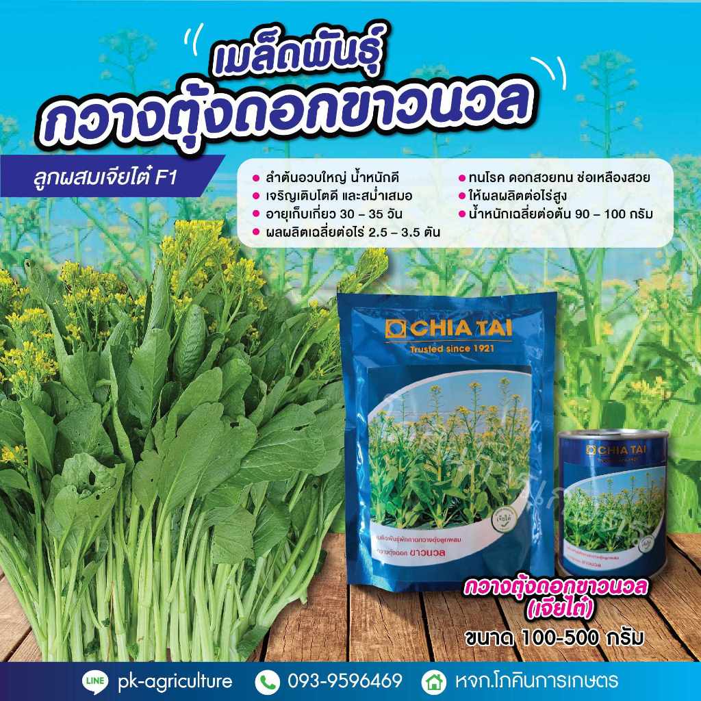 เมล็ดพันธุ์กวางตุ้งดอกขาวนวลลูกผสม (เจียไต๋) ขนาด 100 กรัม