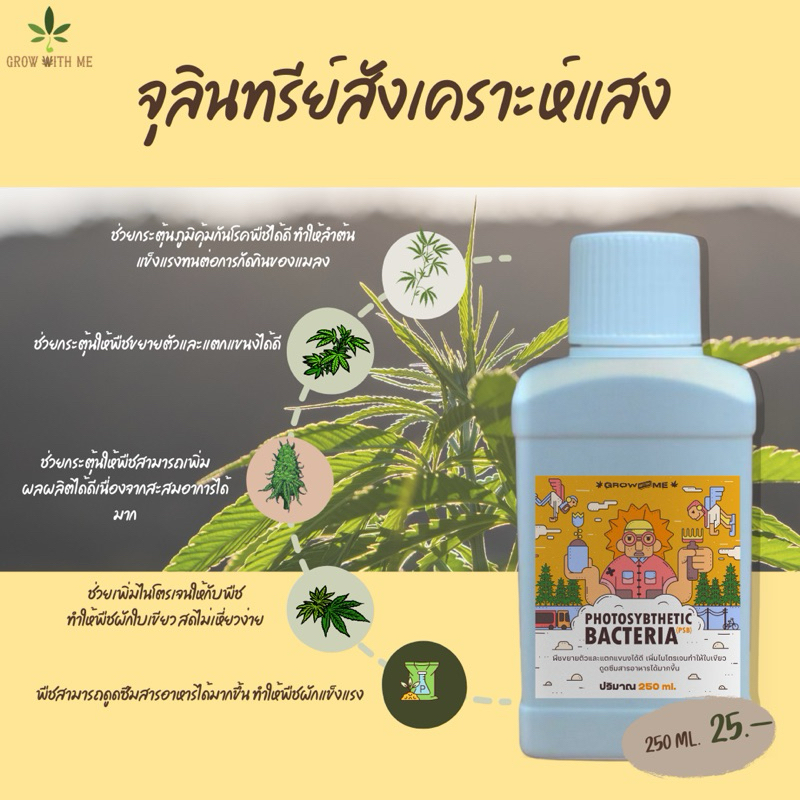 Photosynthetic bacteria:PSB จุลินทรีย์สังเคราะห์แสง