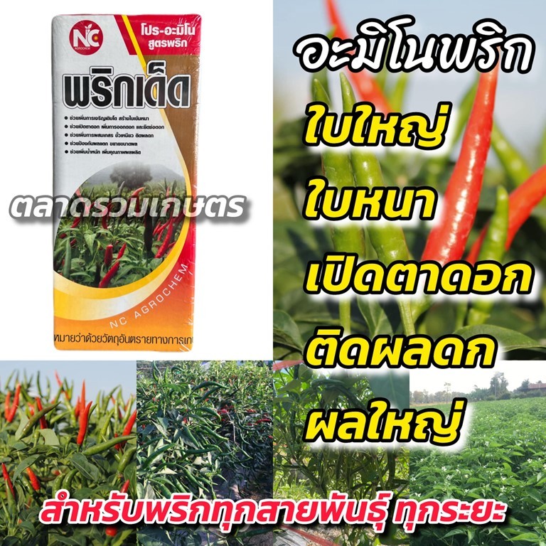 ฮอร์โมนพริก อะมิโน อมิโน พริก พริกเด็ด บำรุงพริก สร้างใบ เปิดตาดอก เพิ่มดก ขั้วเหนียว ติดผลดี ลูกใหญ่ ขยายผล ตราNC