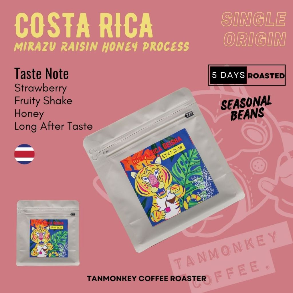 Tanmonkey Coffee Single Origin เมล็ดกาแฟคั่ว Geisha Costa Rica Mirazu Raisin Honey Process