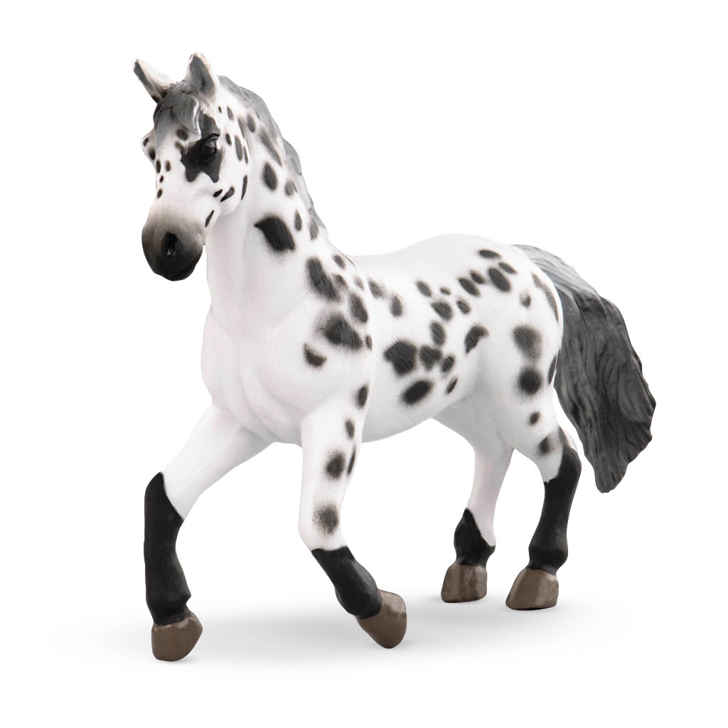 Terra APPALOOSA HORSE - AN2673Z