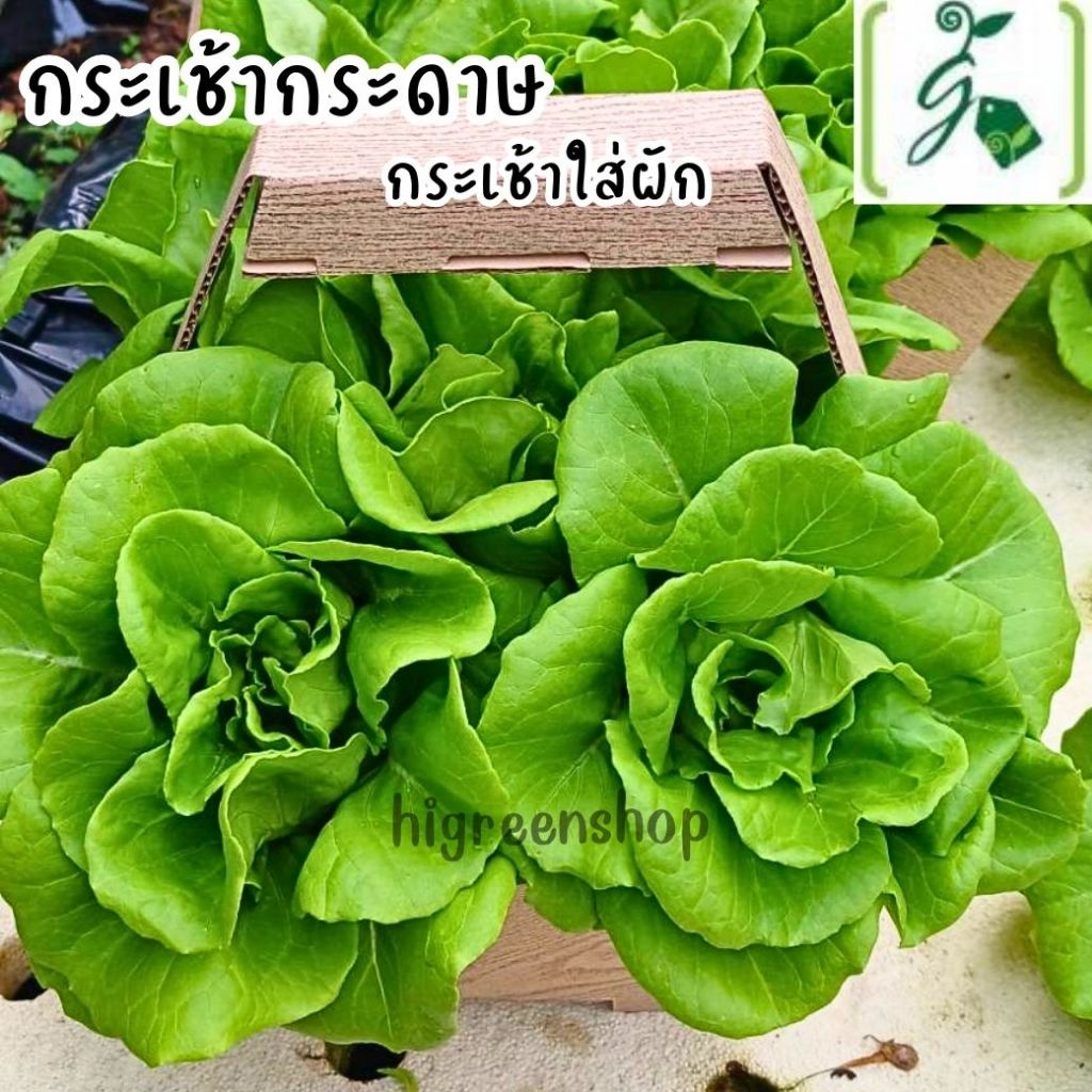 กระเช้าใหญ่ กระเช้าเล็ก ใส่ผัก  เป็นกล่องกระดาษลายไม้สัก นิยมสุด ให้ราคาถูก