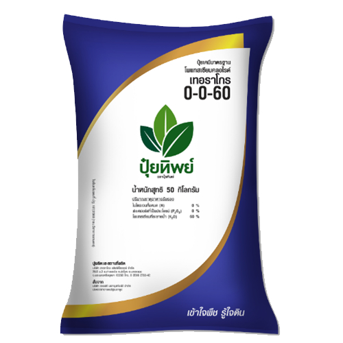 ปุ๋ยทิพย์ สูตร 0-0-60  ยกกระสอบ 50 กิโลกรัม