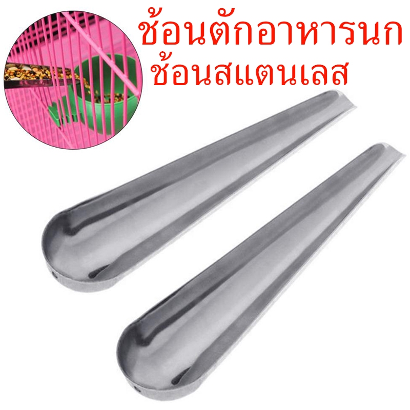 ช้อนตักอาหารนก อุปกรณ์เลี้ยงนก ช้อนเติมอาหาร สแตนเลส ช้อนให้อาหารนก ช้อนกรอกอาหารนก