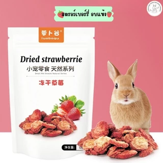 (Dried Strawberry สตรอเบอรี่อบแห้ง 60กรัม) ผลไม้อบแห้งขนมสำหรับสัตว์เลี้ยงขนาดเล็ก