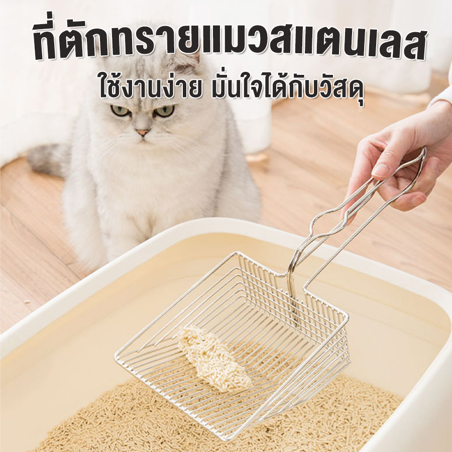 สัตว์เลี้ยง ช้อนครอกแมวสแตนเลสช้อนครอกแมวช้อนทนทานช้อนครอกแมว