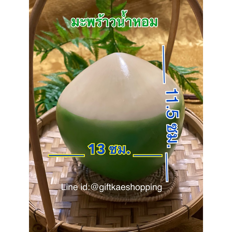 ผลไม้ปลอม โมเดลมะพร้าวน้ำหอม