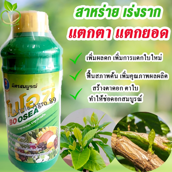 ไบโอซี สาหร่ายพืช ขนาด 1 ลิตร ฮอร์โมนพืชดก ฮอร์โมนสาหร่าย อะมิโนสาหร่าย อะมิโน อะมิโนพืช  ฮอร์โมนพืข เร่งราก