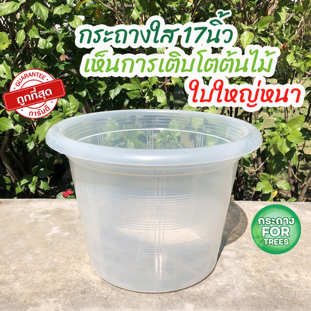 กระถางใส 17นิ้ว ใบใหญ่พลาสติกหนาแข็งแรง กระถางมินิมอล