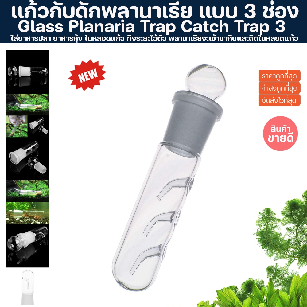 กับดักพลานาเรีย ที่ดักพลานาเรีย Glass Planaria Trap Pest Trap Worm Leech Planaria Catch Catcher สำหรับตู้ปลา ตู้ไม้น้ำ