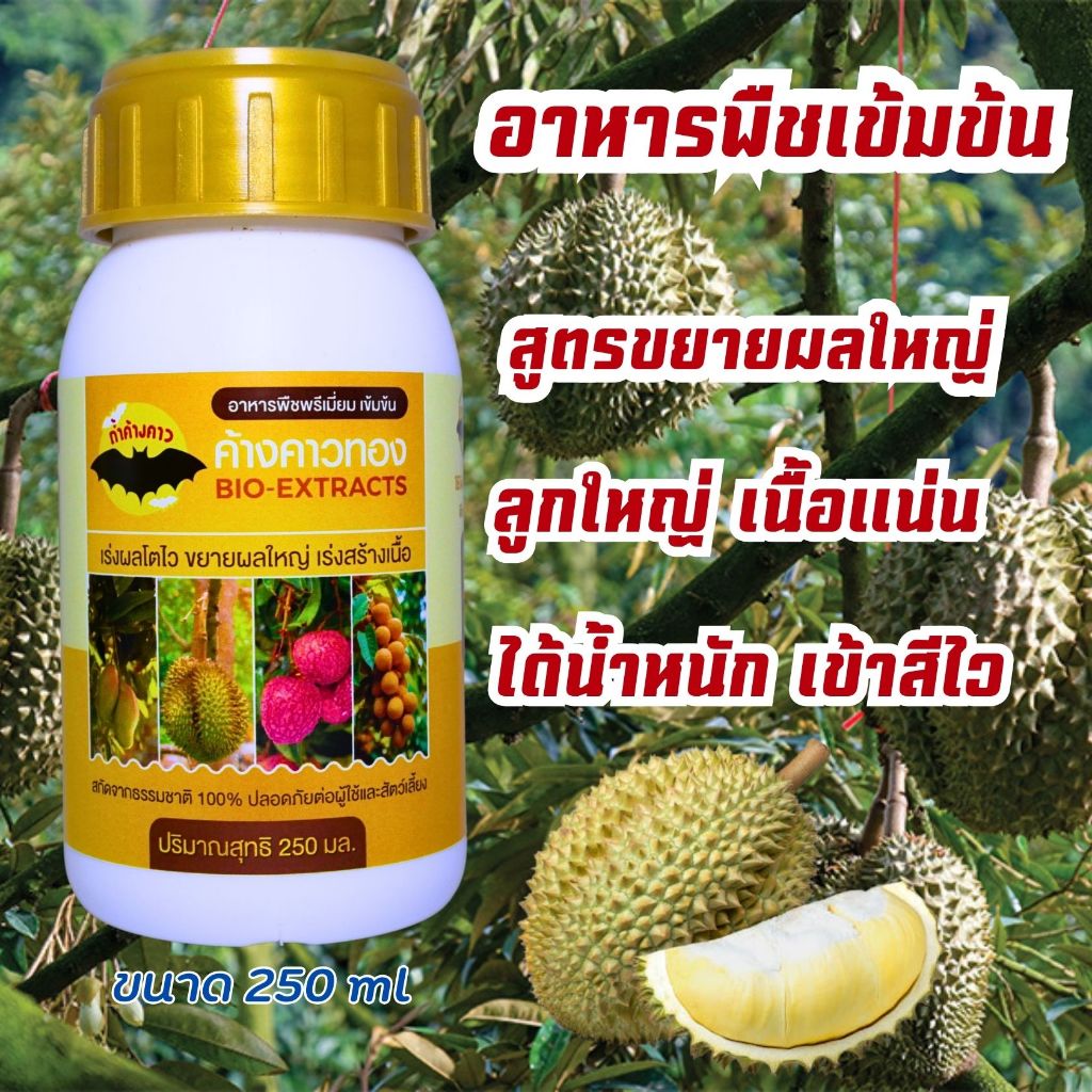 ค้างคาวทอง ลูกใหญ่ เร่งโต ขยายขนาดผล ผลใหญ่ น้ำหนักดี ผลดก เข้าสีเร็ว ปุ๋ยค้างคาว(250มล.)