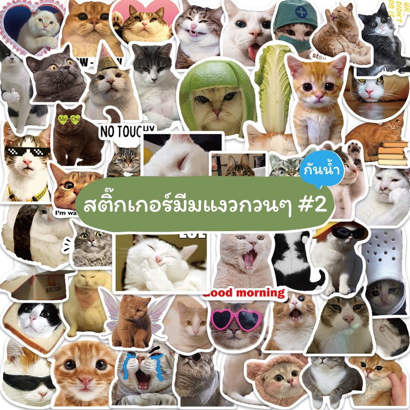 [พร้อมส่ง] สติ๊กเกอร์ มีมแมวกวนๆ ชุด 2 ตลก น่ารัก ชุด 50 ชิ้น กันน้ำ สําหรับติดตกแต่ง