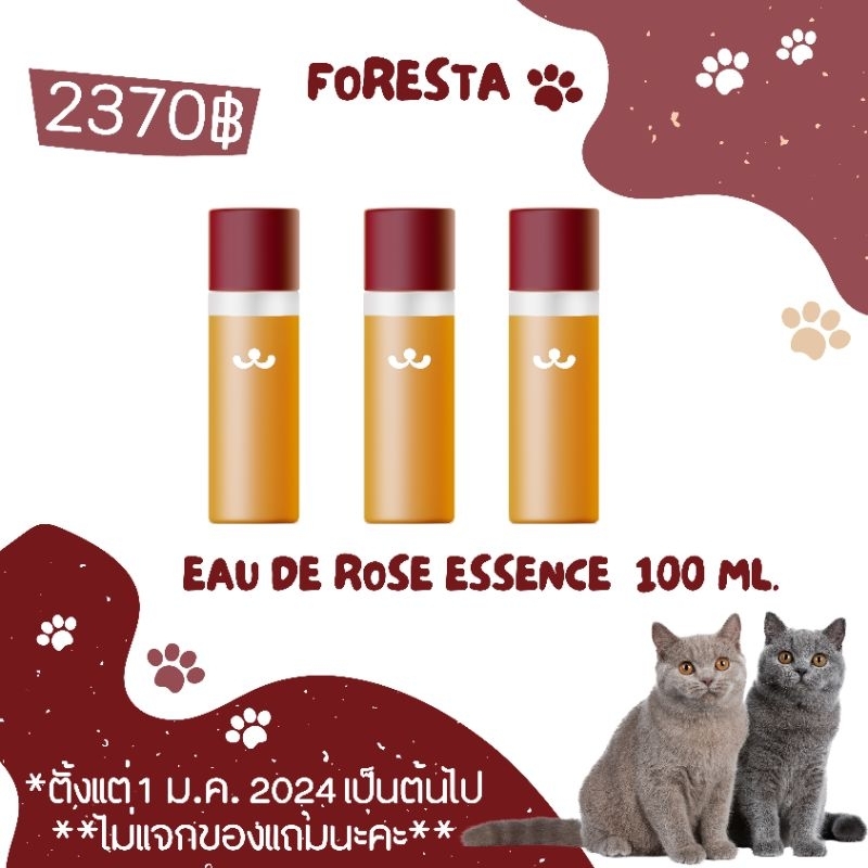 (ตัวแทน) Vegan & Cruelty Free FORESTA น้ำตบ ชากุหลาบ Eau de Rose Essence  บรรจุ 100 ml