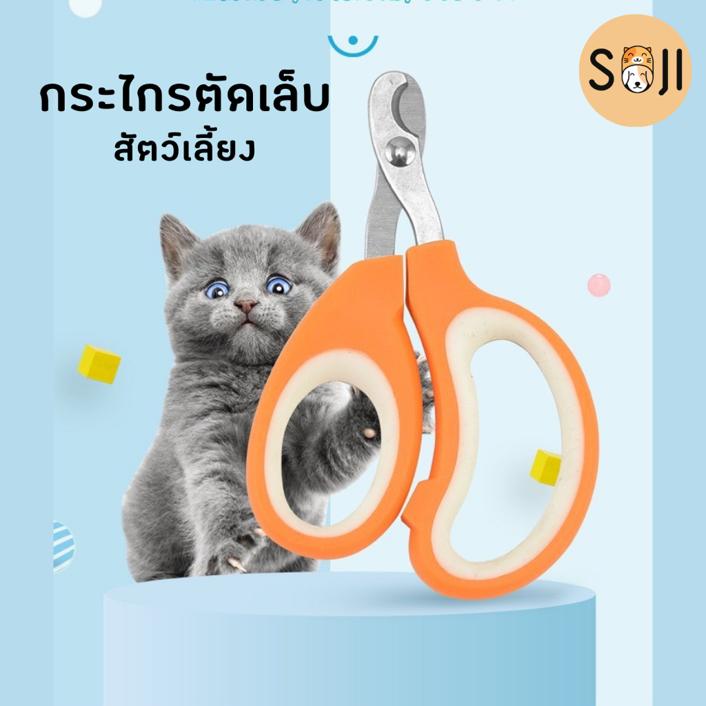 พร้อมส่ง กรรไกรตัดเล็บสัตว์เลี้ยง สุนัข แมว กระต่าย รุ่นถูก ใช้งานได้ดี (สุ่มสี)