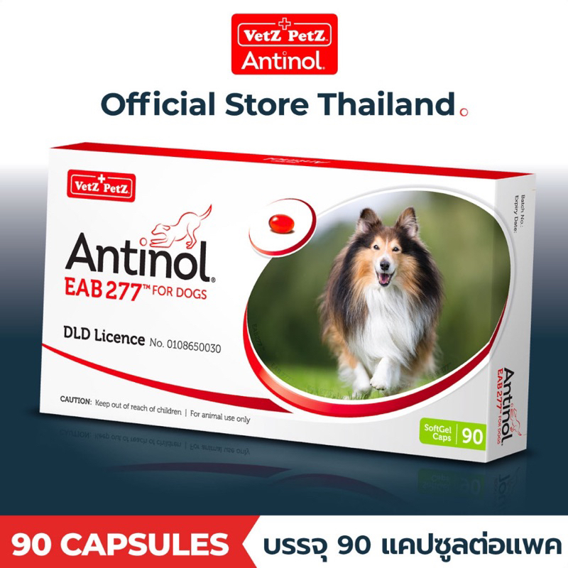 Antinol for dog แอนตินอล สำหรับ สุนัข